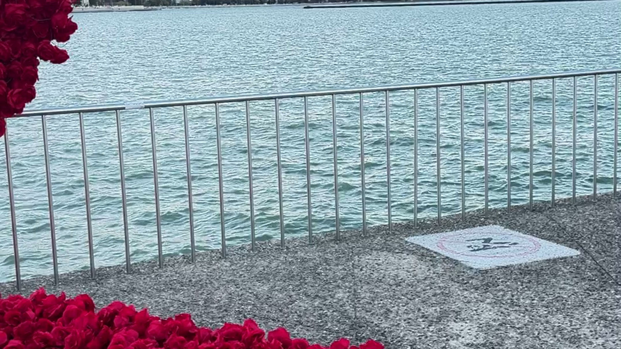 Electric violin - all of me